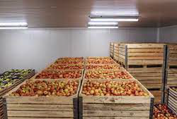 Cold room for apple storage