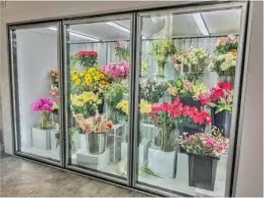 Carnation Storage Cold Room