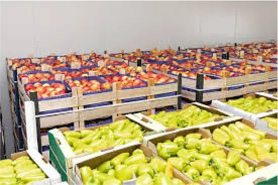 Mixed Vegetable Storage Facility