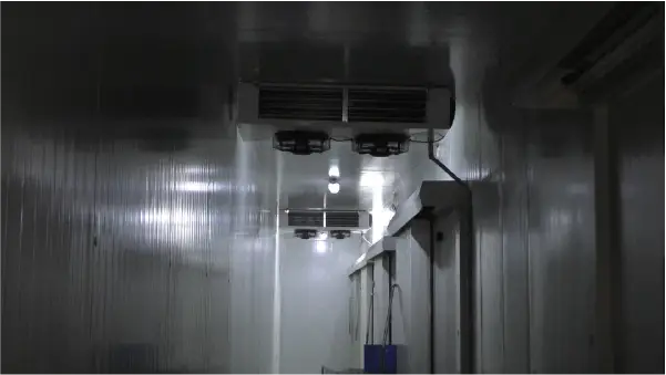 Working Area Cold Room Warehouse